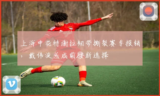 上海申花特谢拉韧带撕裂赛季报销,戴伟浚或成前腰新选择